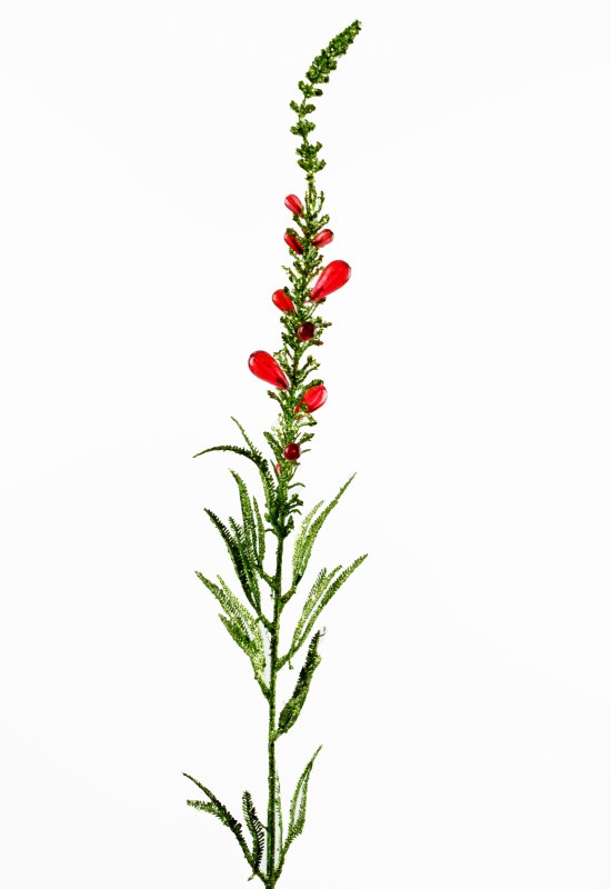 Picture of Glitter green and red berries spray